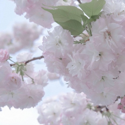 Furry插画手绘技巧干货FurryQQ群